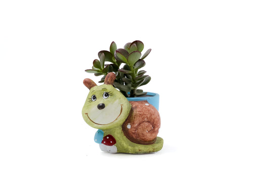 Animal party "Happy pots"