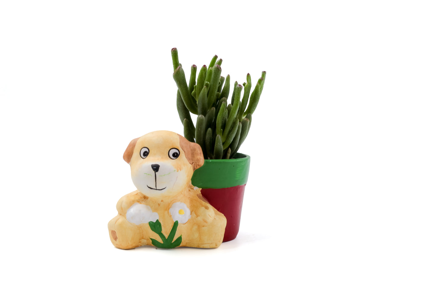 Animal party "Happy pots"