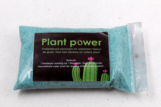 Cactus en vetplant voeding