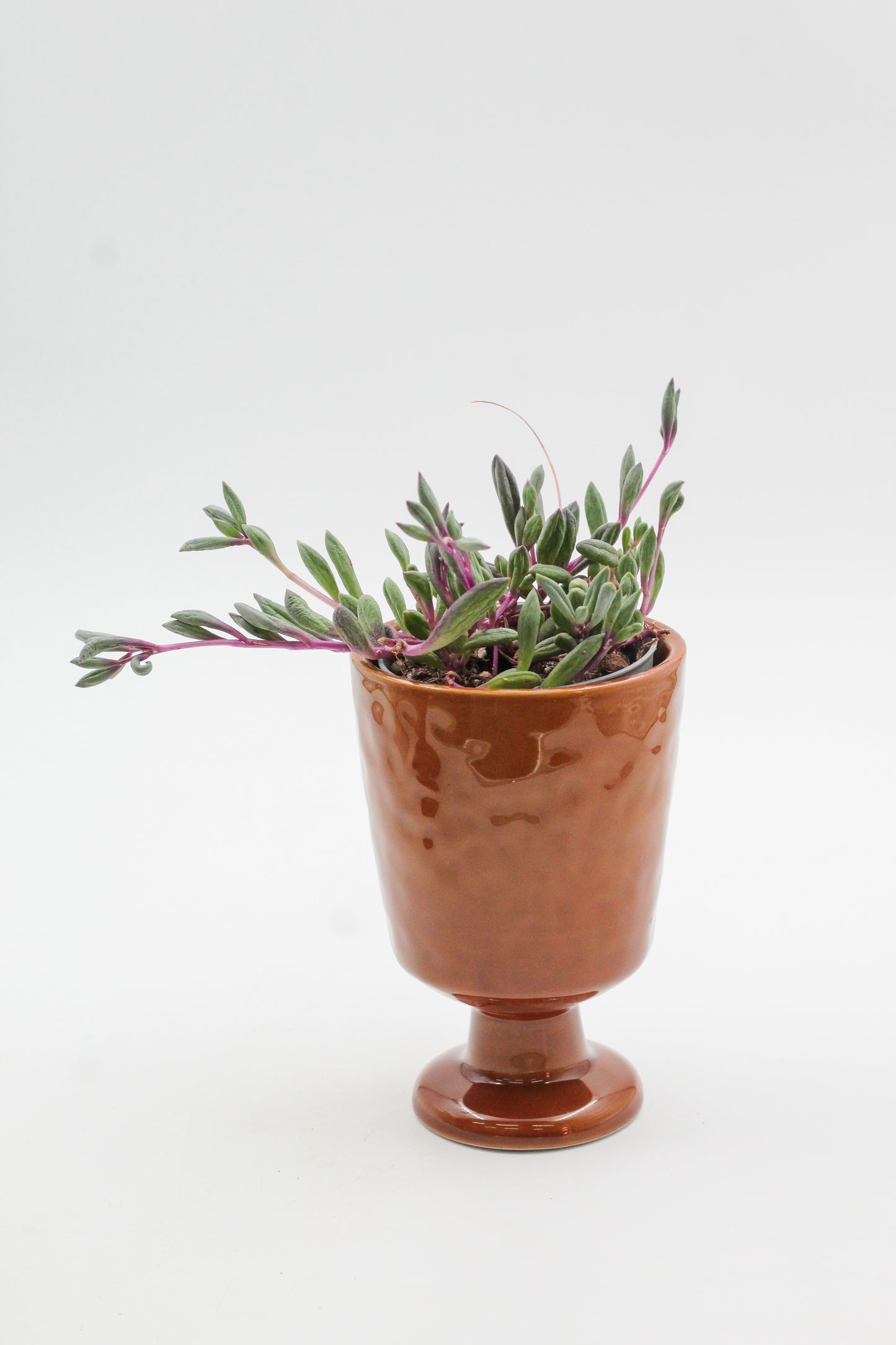 Ø8 Goblet Gert