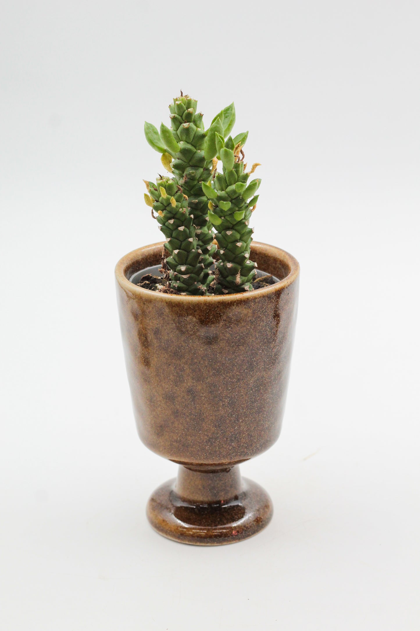 Ø8 Goblet Gert