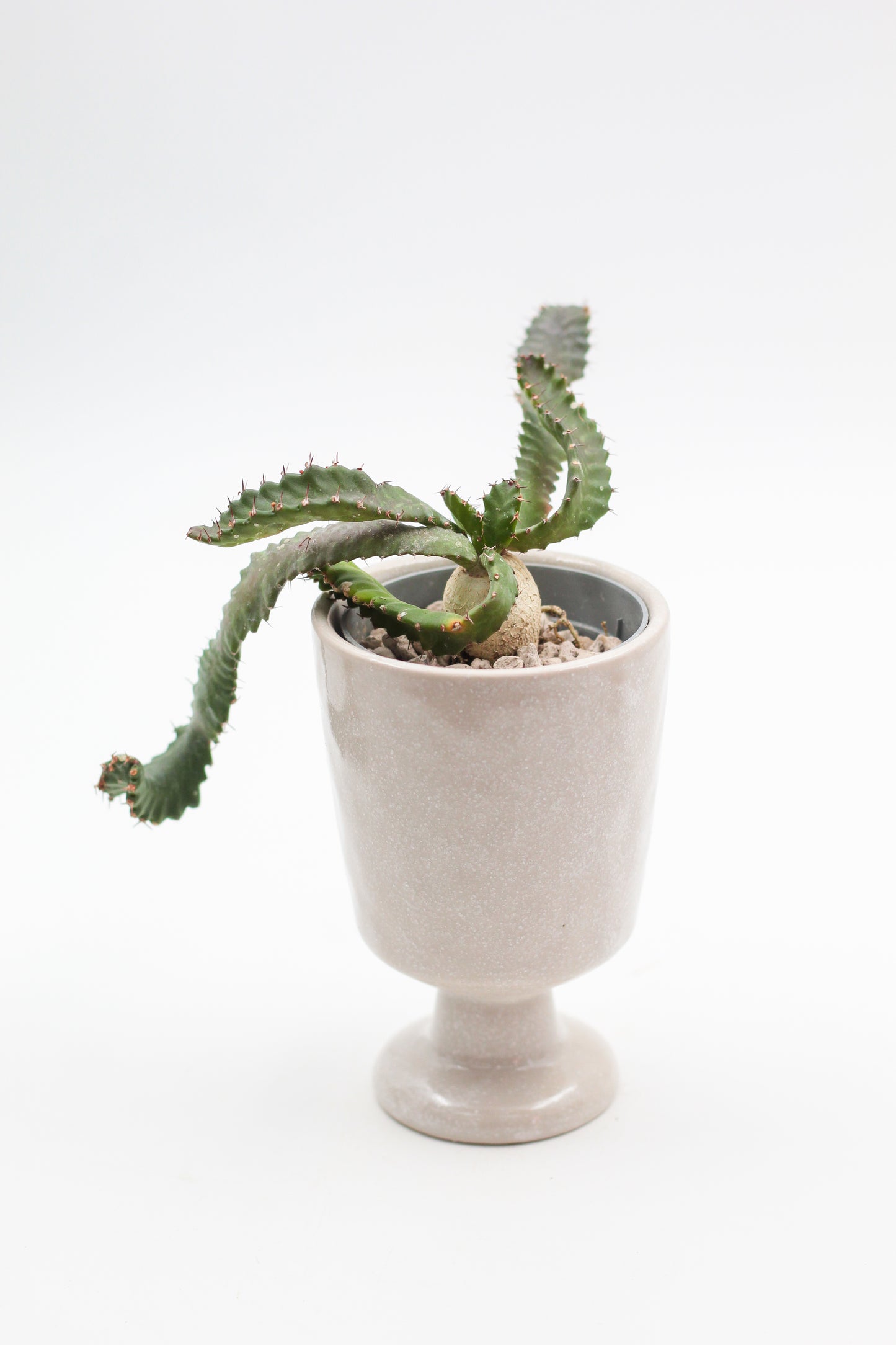 Ø8 Goblet Gert