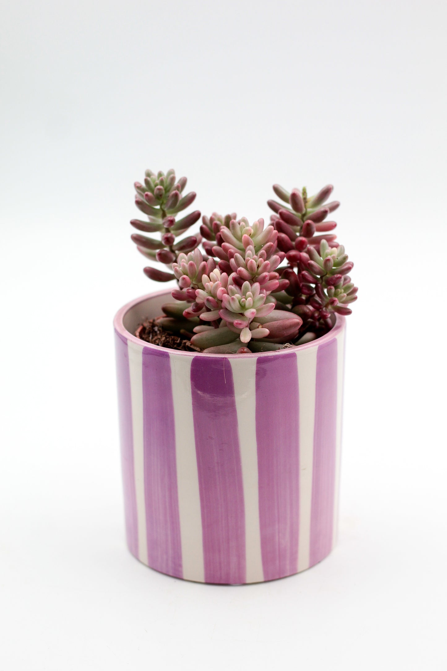 Ø10,5 Purple CandyStripes