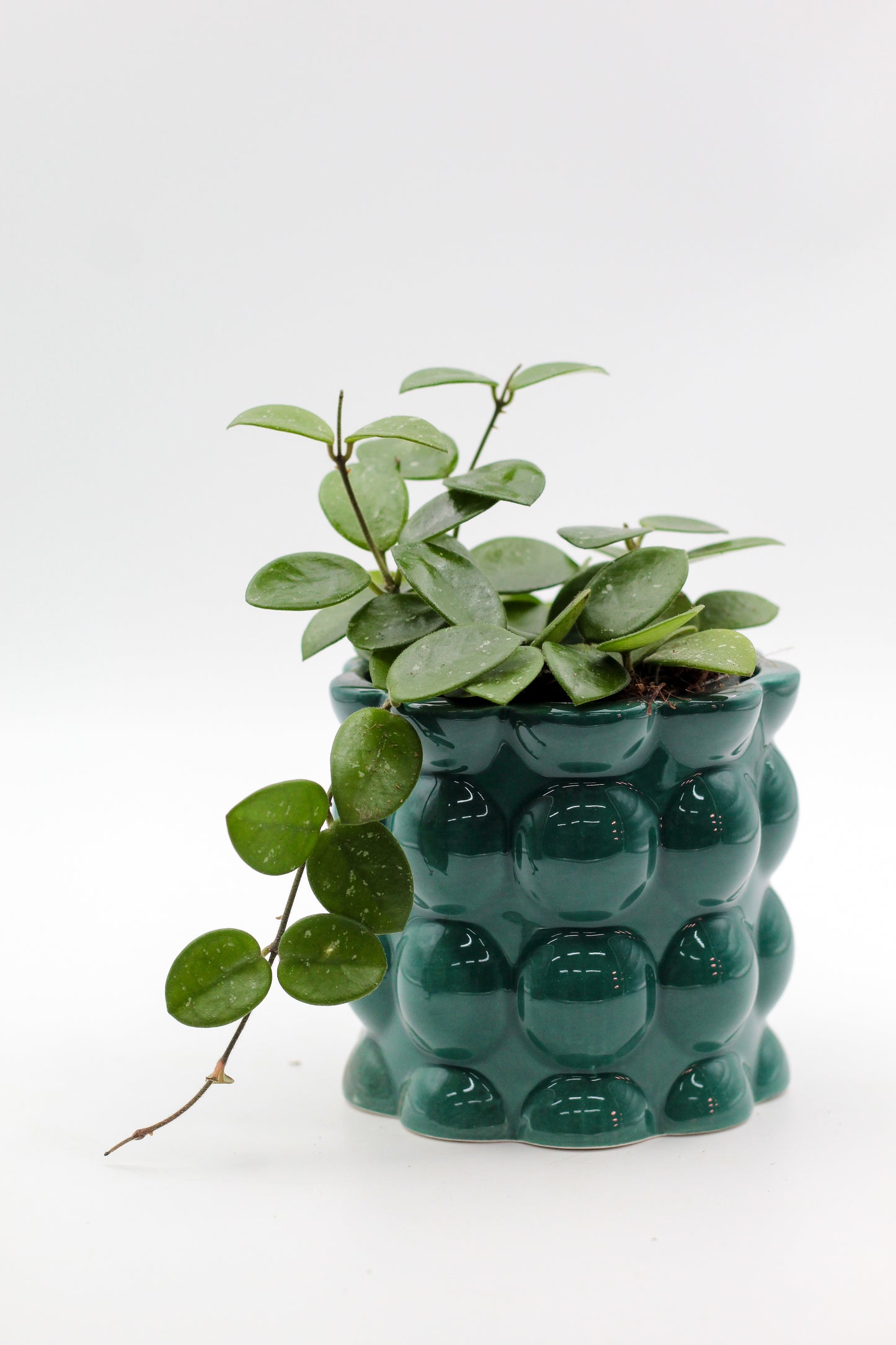 Ø11 Cotton pot groen