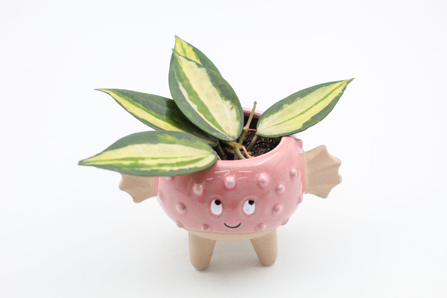 Ø7 Baby puffer "Happy pots"
