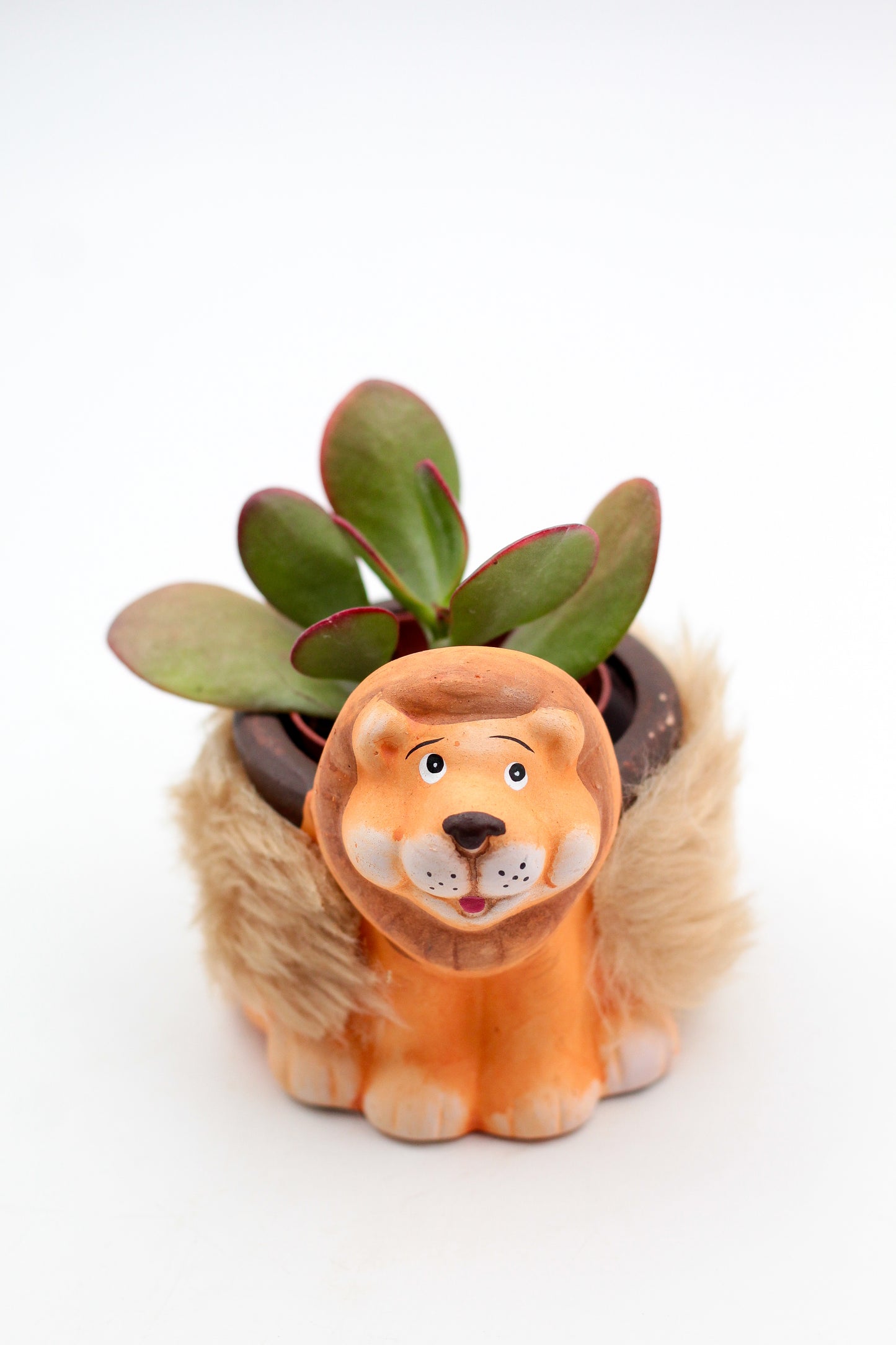 Safari Friends "Happy pots"