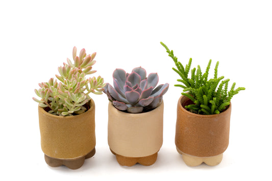Foto van de drie potjes (bruin/beige/terracotta, golvende voet): "Set van drie handgemaakte sierpotjes in aardetinten met golvende voet, ideaal voor een mini cactus of mini vetplant"