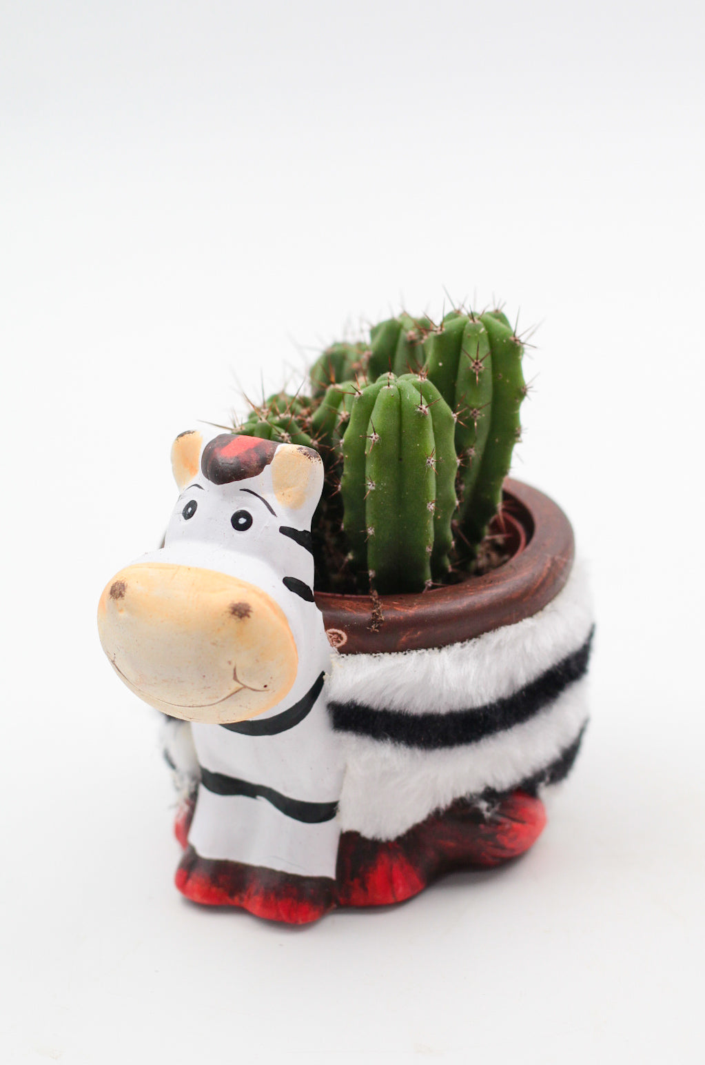 Safari Friends "Happy pots"
