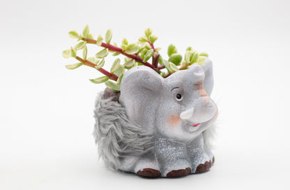 Safari Friends "Happy pots"