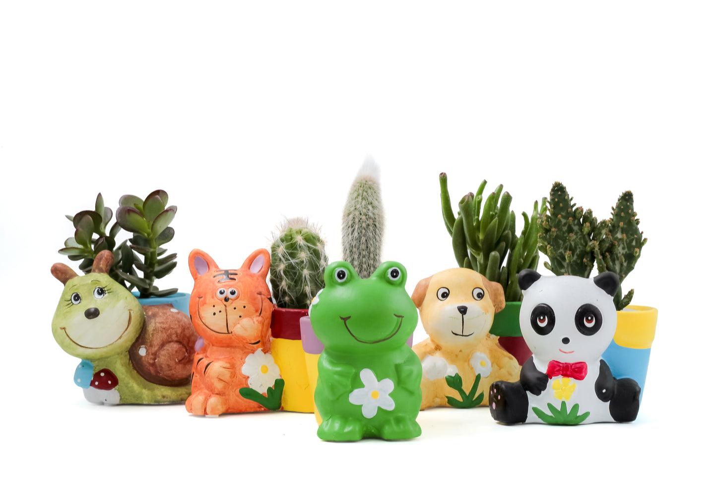 Animal party "Happy pots"