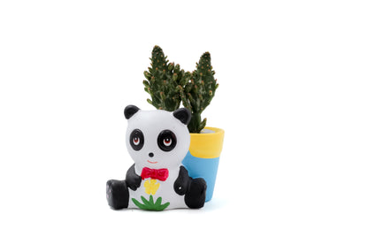 Animal party "Happy pots"