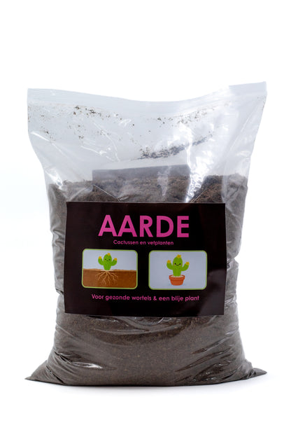 Cactus and succulents soil 2.5L