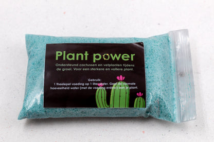 Cactus en vetplant voeding
