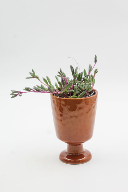 Ø8 Goblet Gert