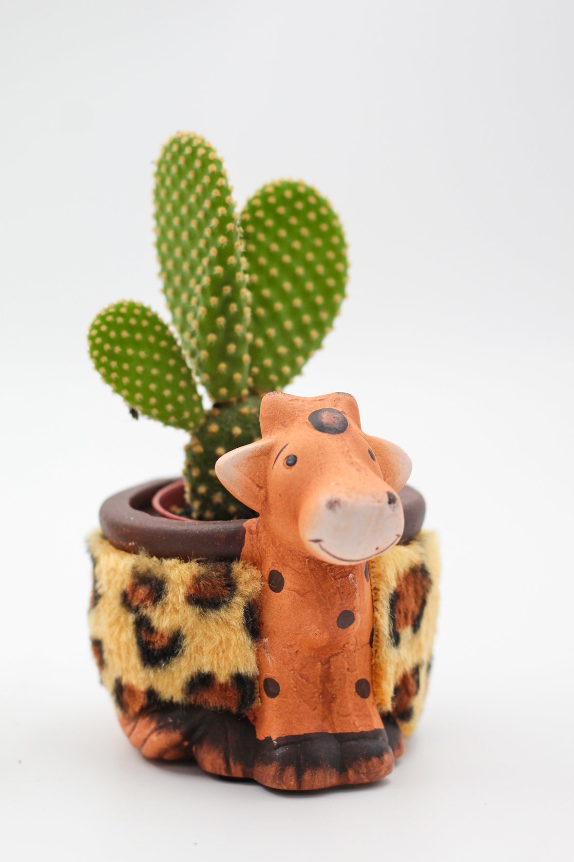 Safari Friends "Happy pots"