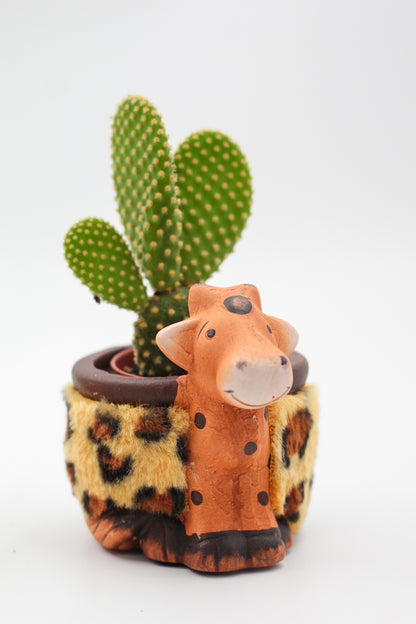 Safari Friends "Happy pots"