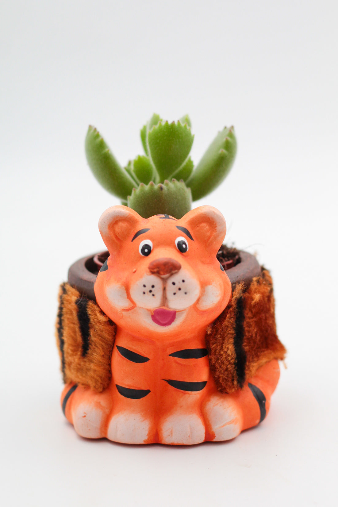 Safari Friends "Happy pots"