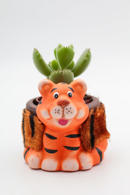 Safari Friends "Happy pots"