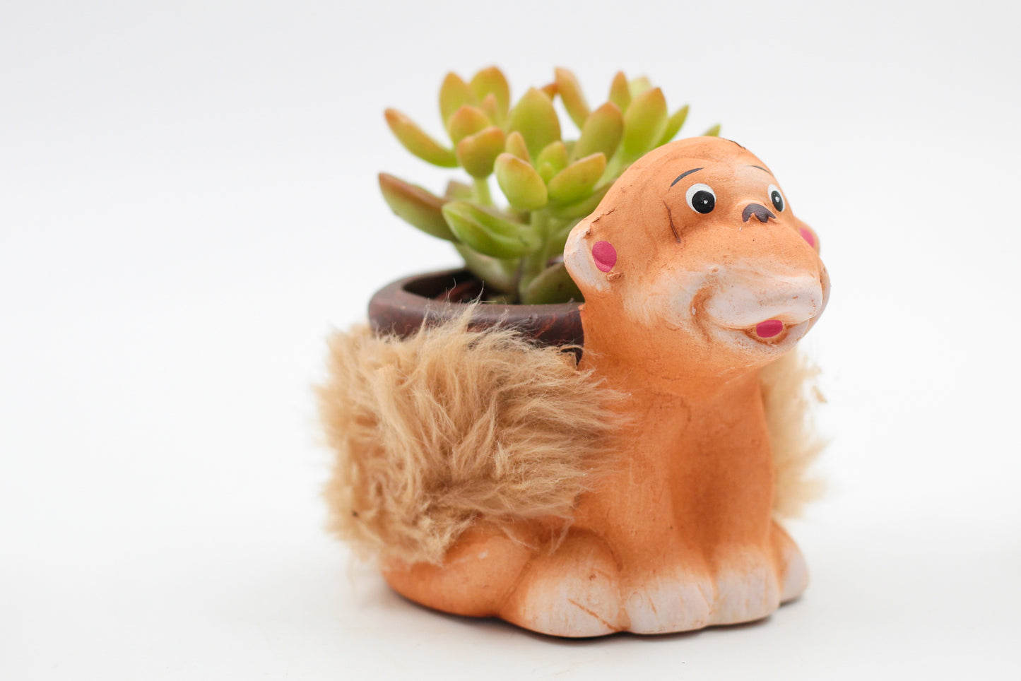 Safari Friends "Happy pots"