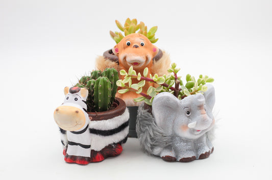 Safari Friends "Happy pots"