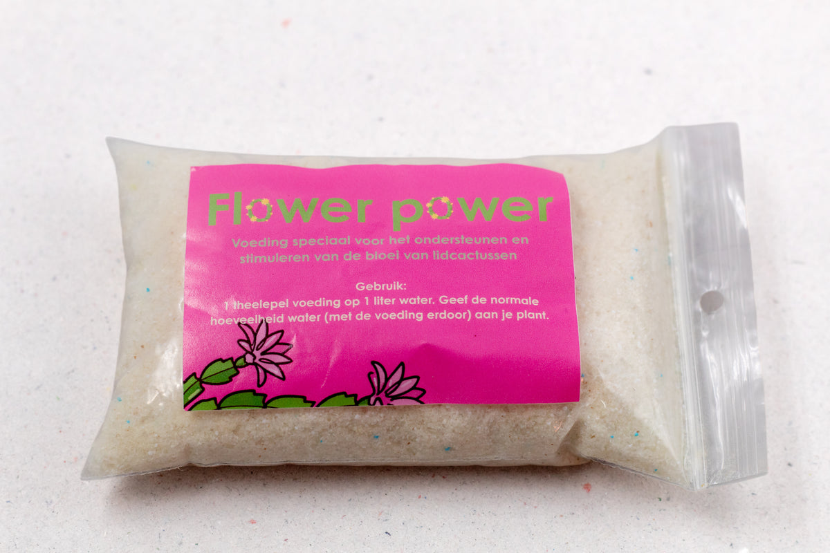 Kerstcactus & Paascactus Bloeivoeding 100 gr