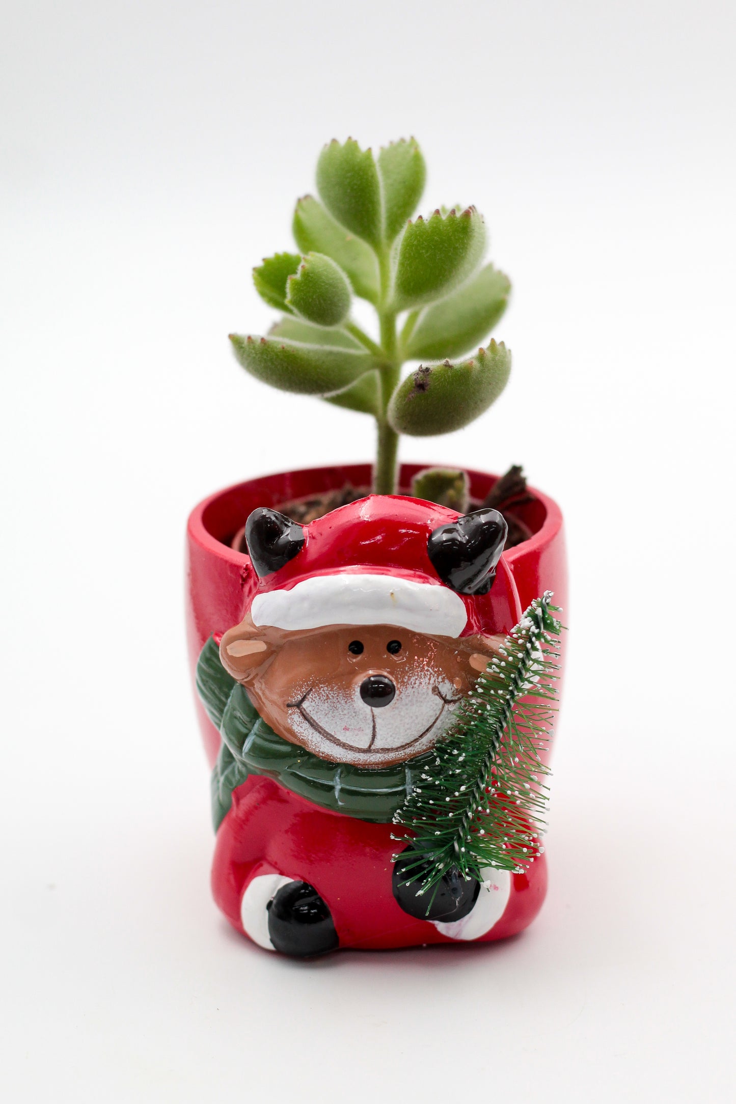 Kerstkriebels "Happy pots"