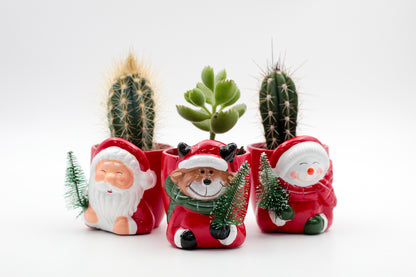 Kerstkriebels "Happy pots"