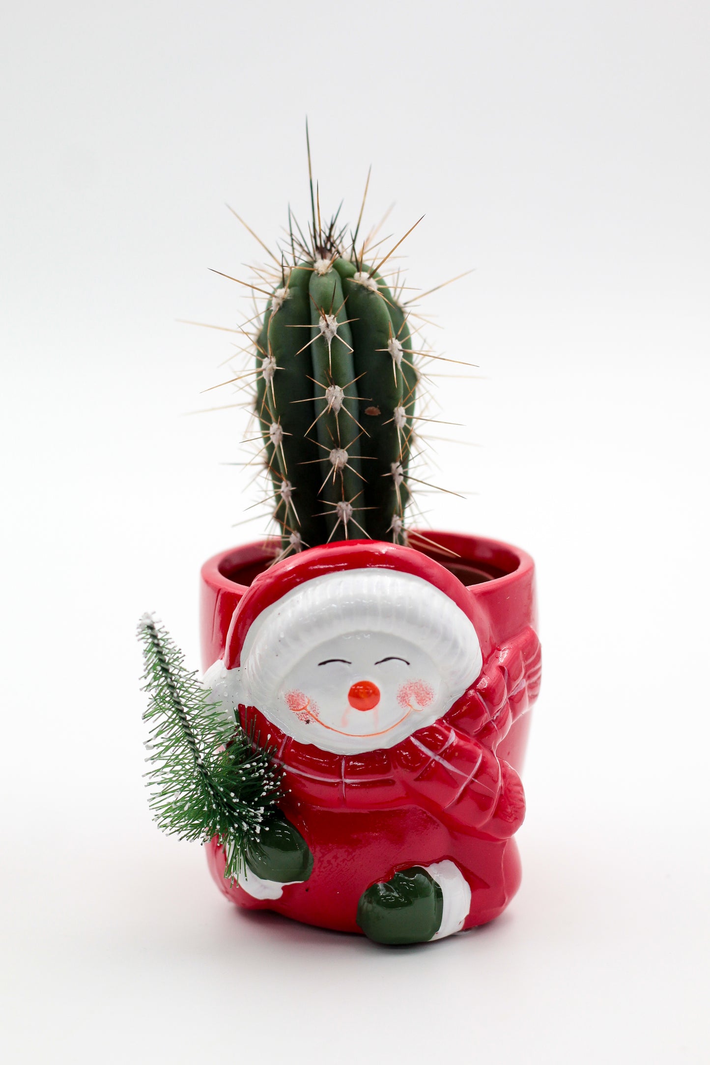 Kerstkriebels "Happy pots"