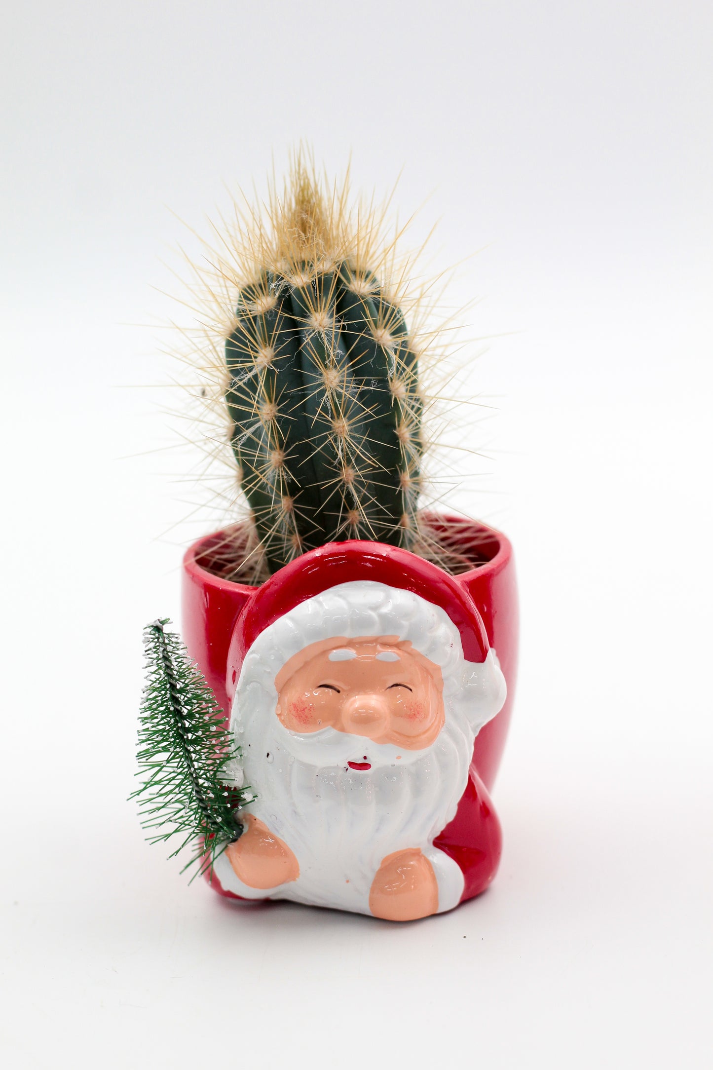 Kerstkriebels "Happy pots"