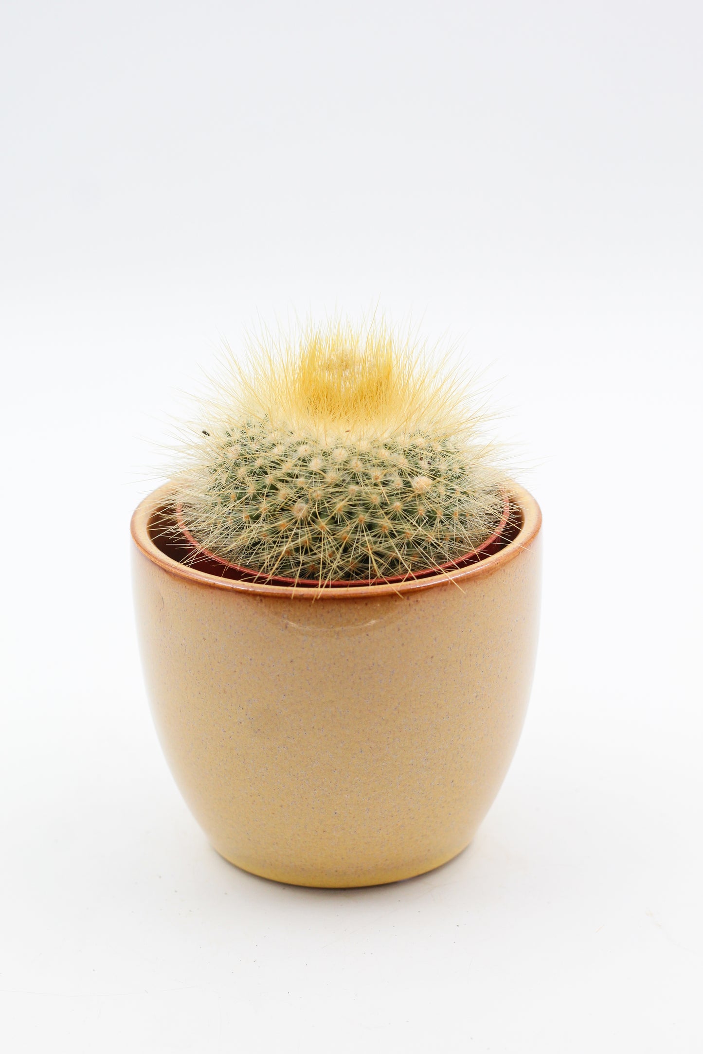 Ø12 Yellow Guus