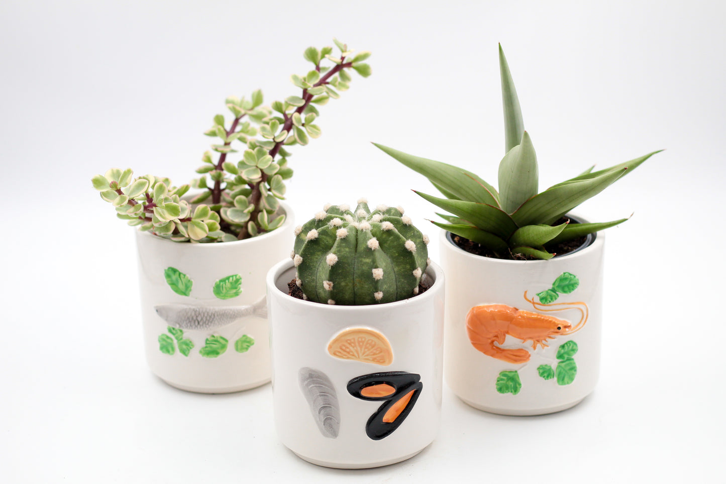 Ø10,5 Fruits de Mer