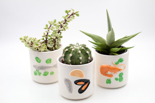 Ø10,5 Fruits de Mer