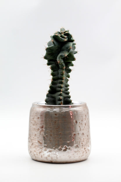 Ø10,5 Smooth Silver