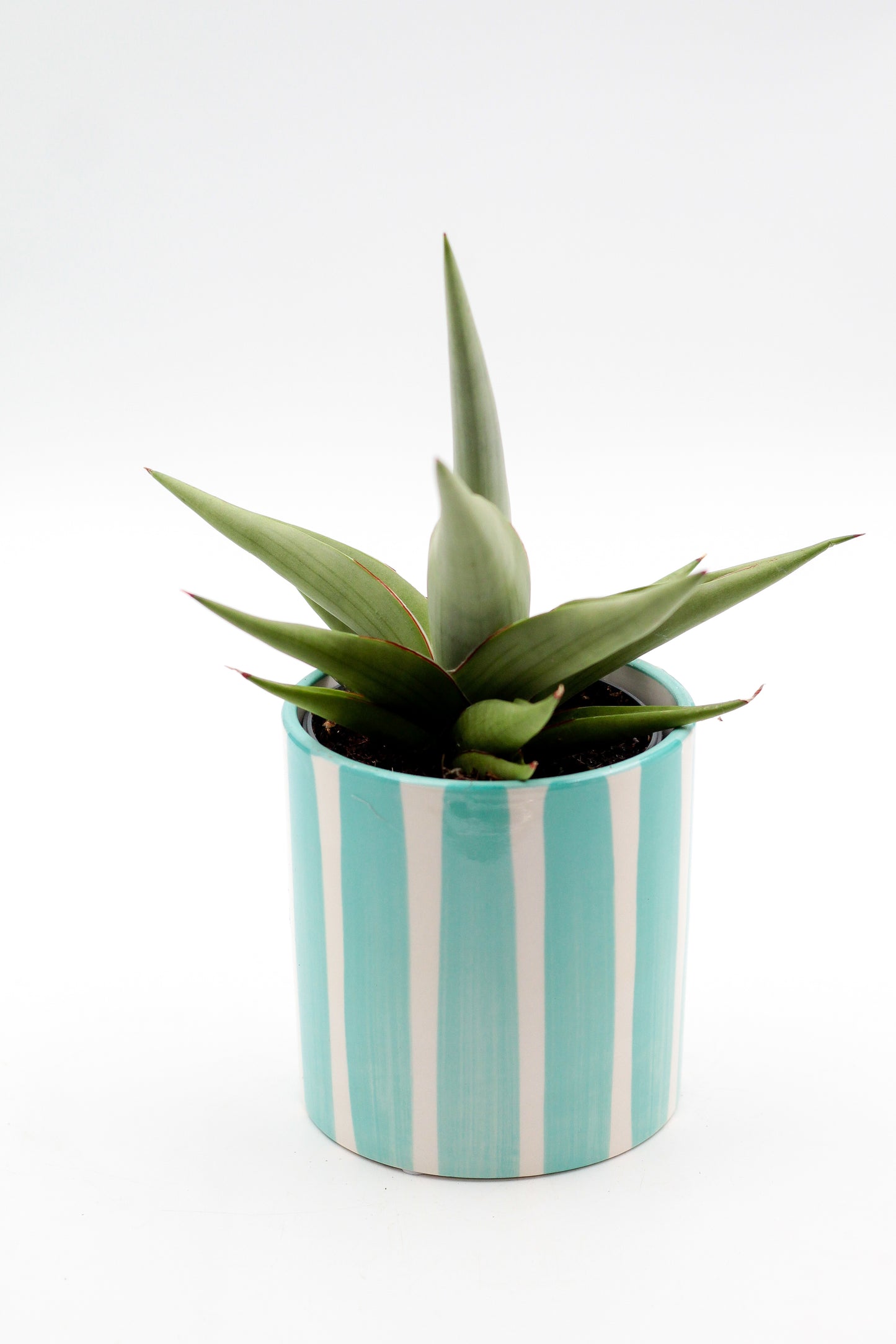 Ø10,5 Turquoise CandyStripes