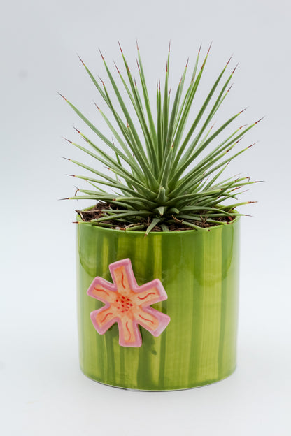 Ø11 Cotton pot purple
