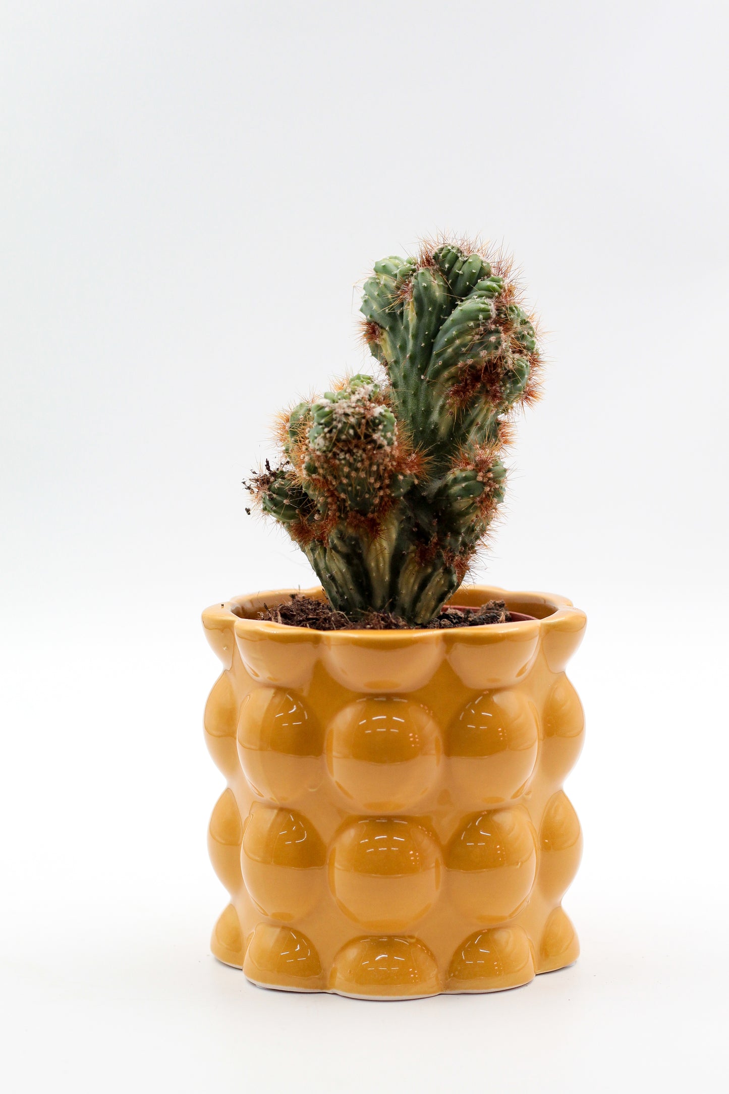 Ø11 Cotton pot geel