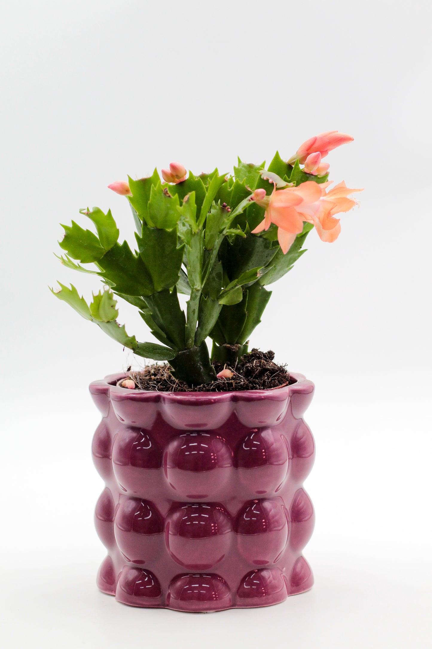 Ø11 Cotton pot paars