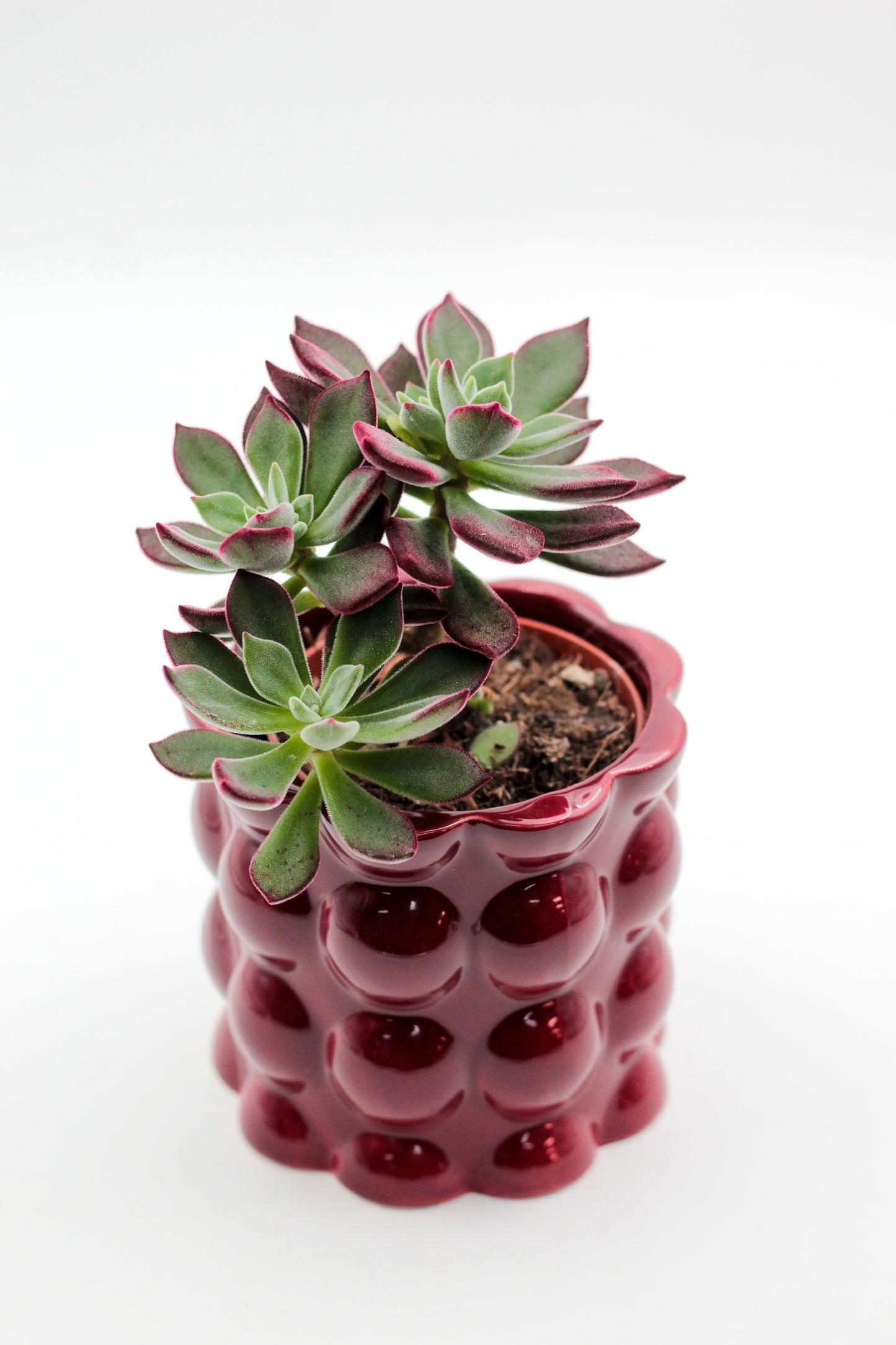 Ø11 Cotton pot rood