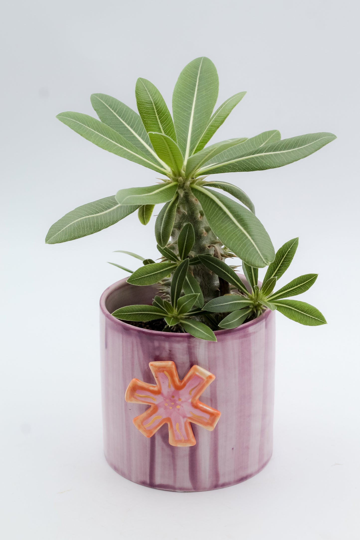Ø11 Cotton pot red