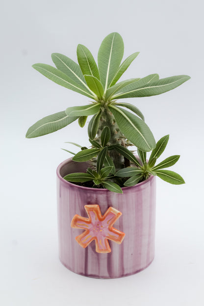 Ø11 Cotton pot red