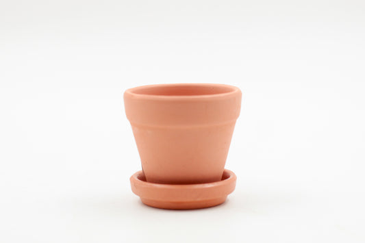 Ø5.5 baby terracotta pot with saucer