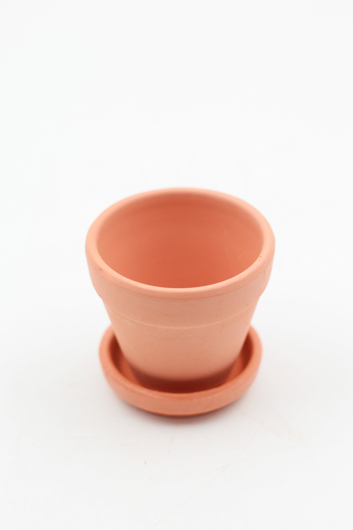 Ø5.5 baby terracotta pot with saucer
