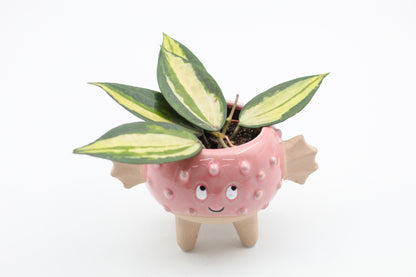 Ø7 Baby puffer "Happy pots"