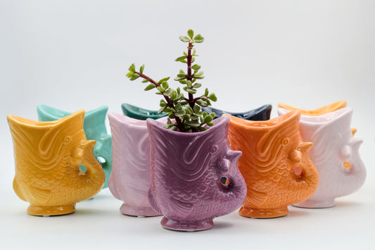 Ø8 Hungryfish "Happy pots"