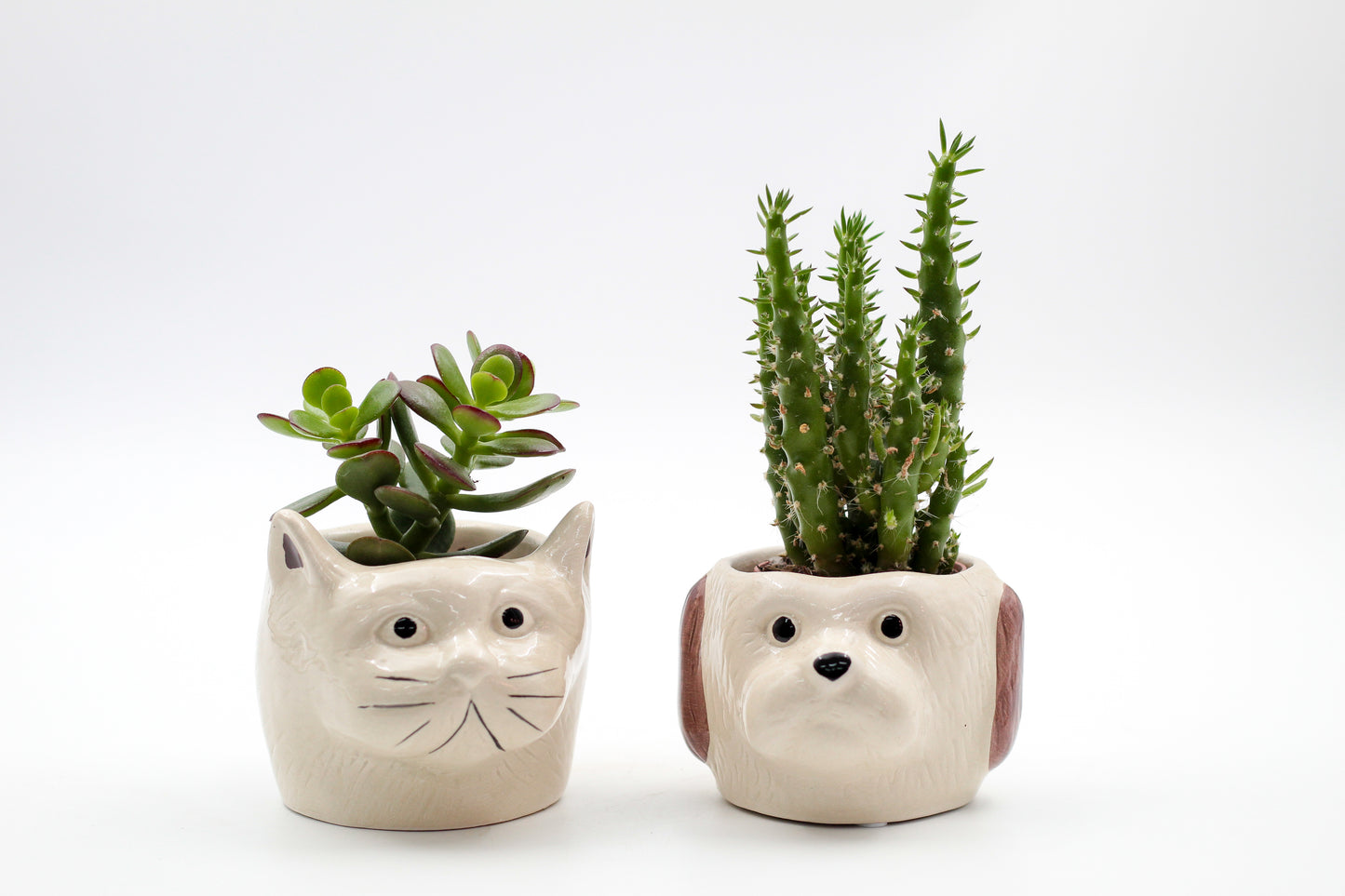 Ø9 Cat or dog? "Happy pots"