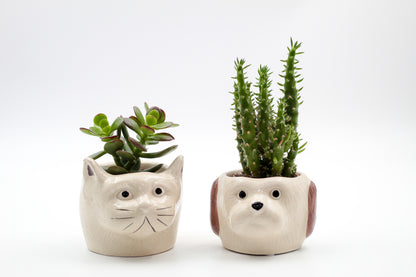 Ø9 Cat or dog? "Happy pots"