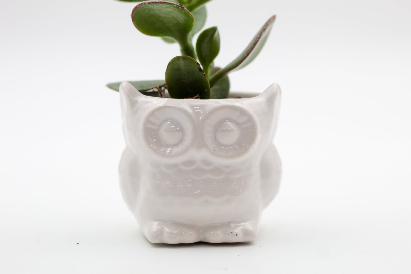 Ø9 Oehoe "Happy pots"