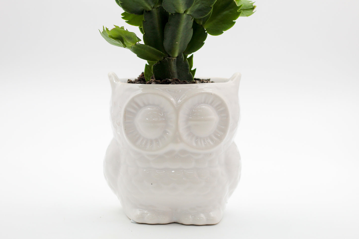 Ø12 Oehoe "Happy pots"