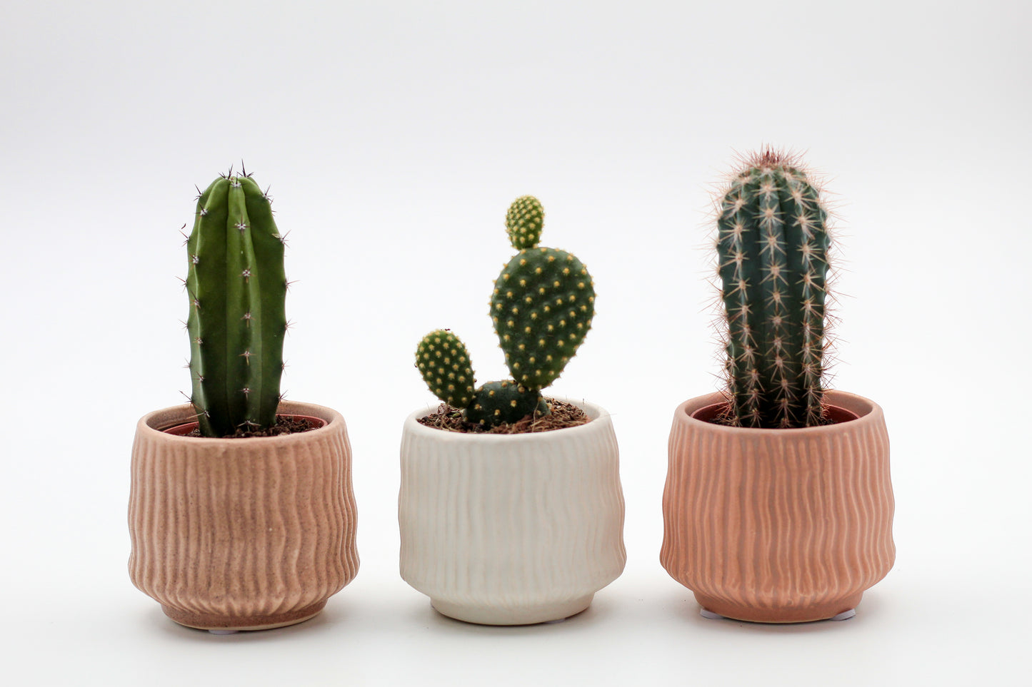 Hieroglyph Advantage Set