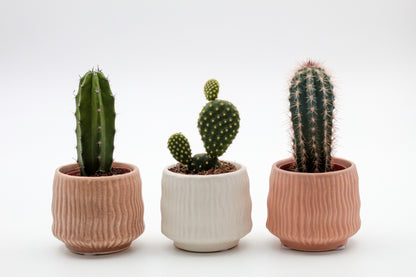 Hieroglyph Advantage Set